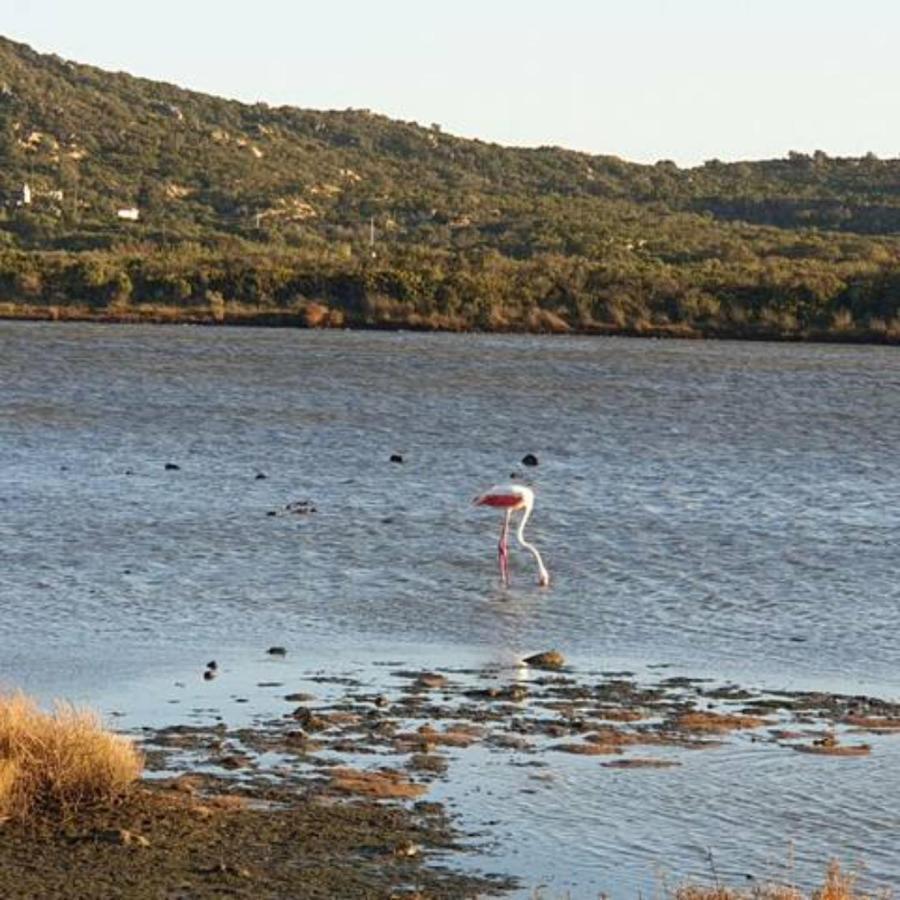 Appartamento Vasiliki بورتو سان باولو المظهر الخارجي الصورة