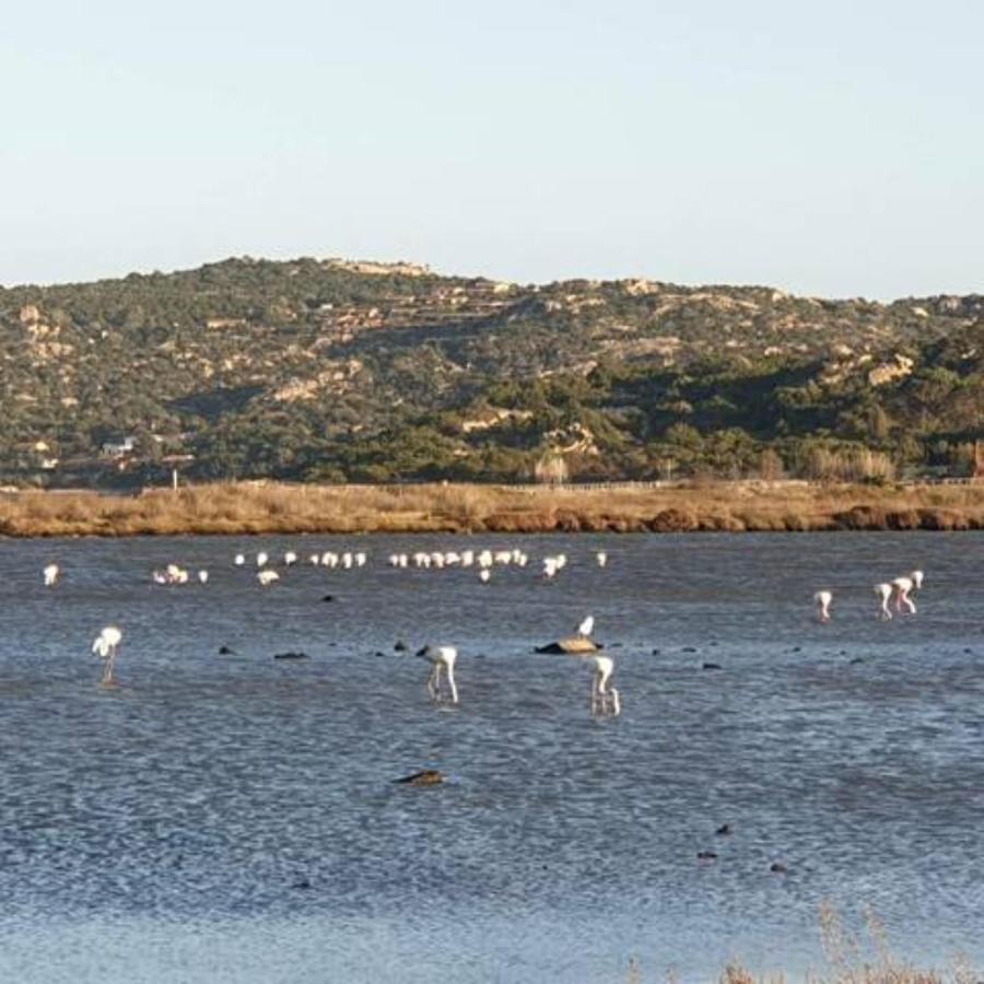 Appartamento Vasiliki بورتو سان باولو المظهر الخارجي الصورة